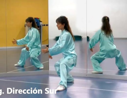 posturas del tai chi