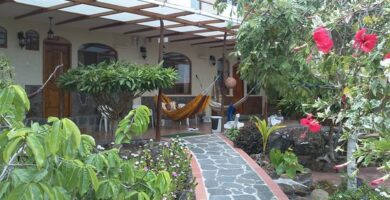 Cómo limpiar tu jardín en el otoño