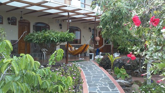 Cómo limpiar tu jardín en el otoño
