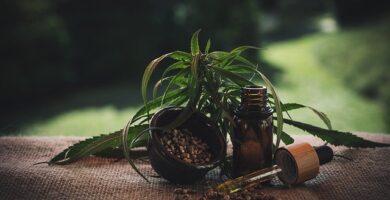 Estrategias Efectivas para la Venta de Productos del aceite CBD 4 Estrategias Efectivas para la Venta de Productos del aceite CBD