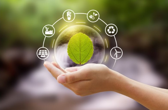 Impacto ambiental del packaging plástico convencional y el papel de los productos compostables 1 Impacto ambiental del packaging plástico convencional y el papel de los productos compostables
