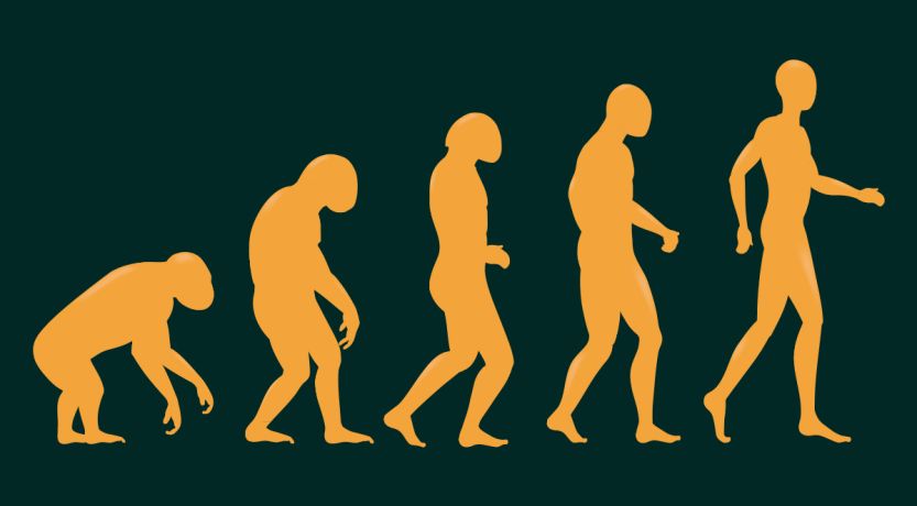 ¿Qué es la evolución? 1 ¿Qué es la evolución?